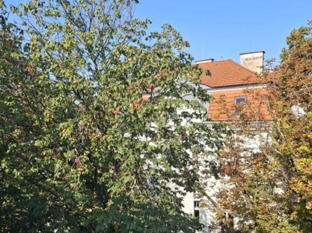 Dachgeschosswohnung kaufen in Wien