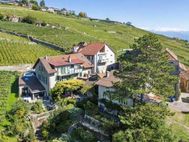 Wohnung kaufen in Bourg-en-Lavaux, Waadt