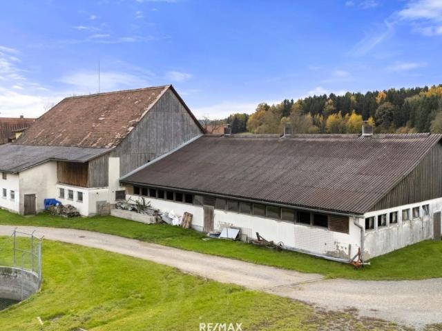 Landwirtschaft kaufen in St. Marein, St. Johann im Pongau