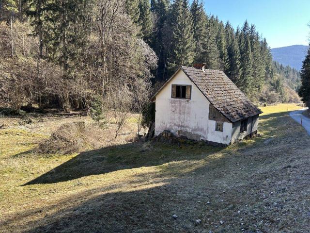 Haus kaufen in Friesach, Kärnten