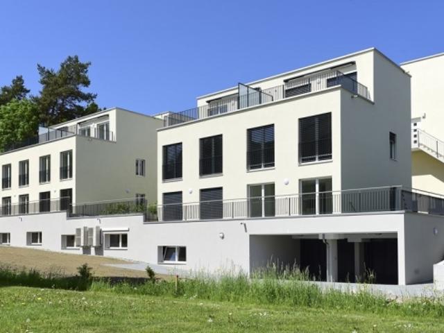 Wohnung mieten in Safenwil, Aargau