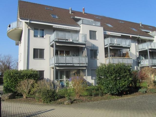 Wohnung mieten in Muri Ag, Aargau