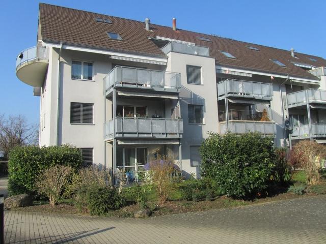Wohnung mieten in Muri Ag, Aargau