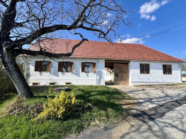 Haus kaufen in Untere Wolfauer Berghäuser, Wolfau