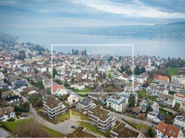 Immobilie kaufen in Horgen, Zürich