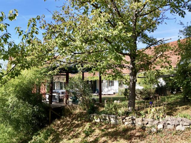 Haus kaufen in Burgenland