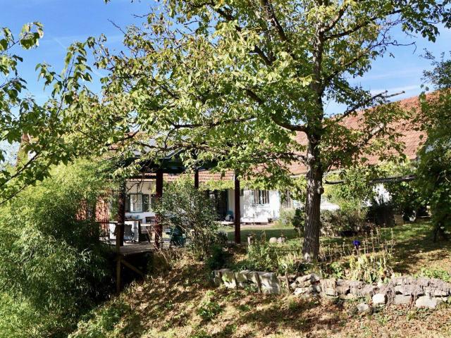 Haus kaufen in Burgenland