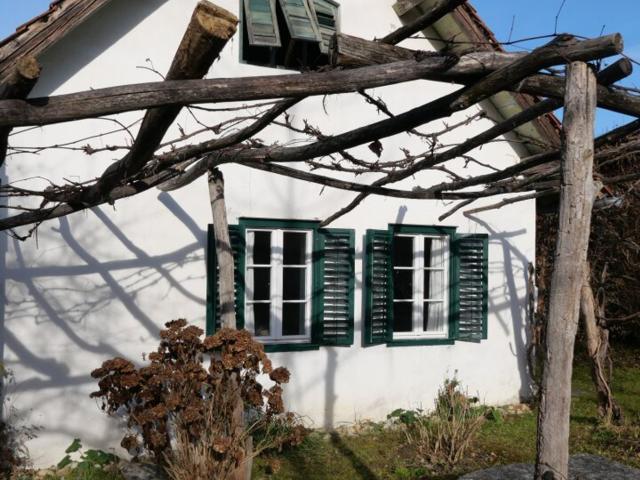 Haus kaufen in Burgenland