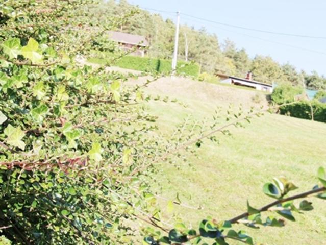 Grundstück kaufen in Altenberg bei Linz, Oberösterreich