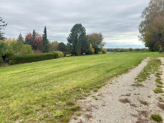 Landwirtschaft kaufen in Neu-Ulm, Landkreis Neu-Ulm