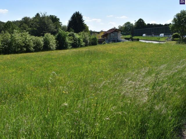 Grundstück kaufen in Laßnitzhöhe, Bezirk Graz-Umgebung