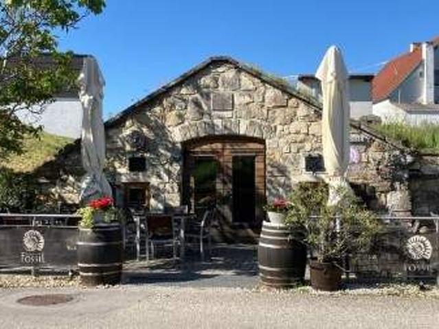 Gewerbe kaufen in Burgenland