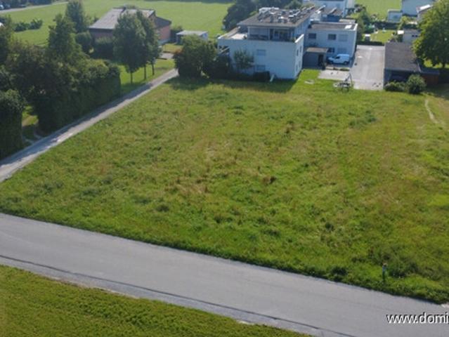 Grundstück kaufen in Mäder, Vorarlberg