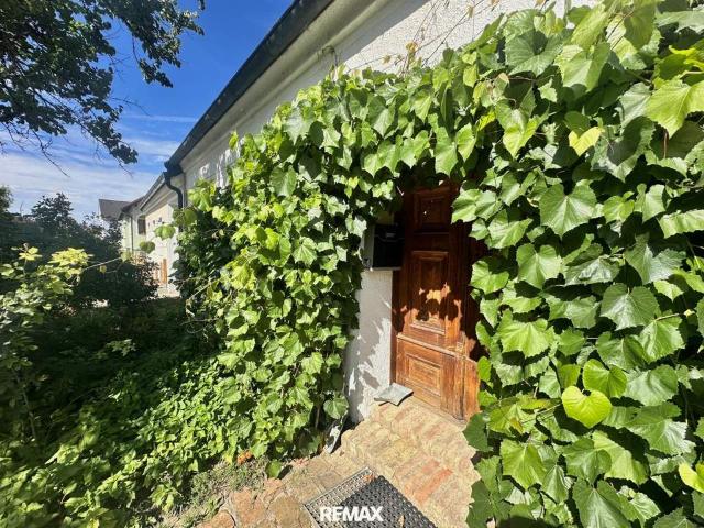 Haus kaufen in Mistelbach, Bezirk Mistelbach