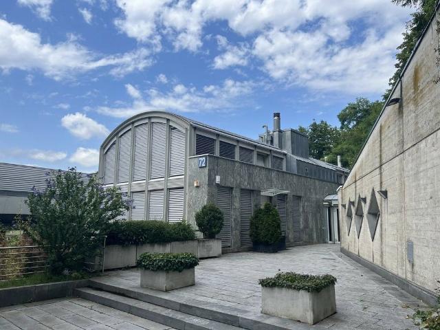 Loft mieten in Einigen, Zürich