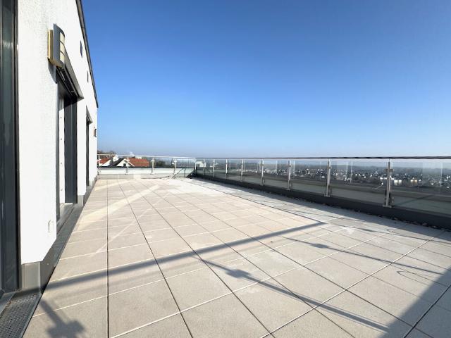 Penthouse kaufen in Laubenheim, Mainz