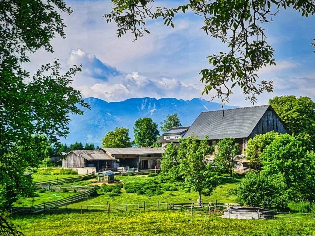 Grundstück kaufen in Wernberg, Kärnten