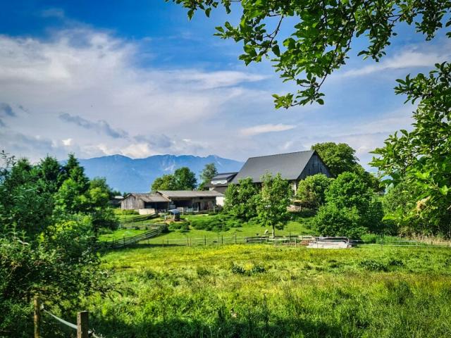 Immobilie kaufen in Wernberg, Kärnten