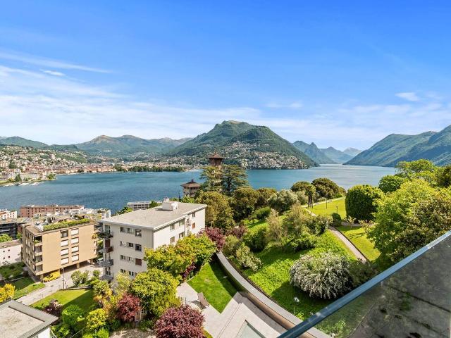 Attikawohnung kaufen in Paradiso, Tessin