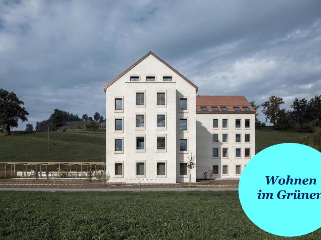 Wohnung mieten in Lü