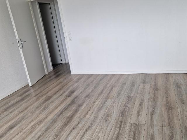 Apartment mieten in Neckarstadt-Ost, Mannheim