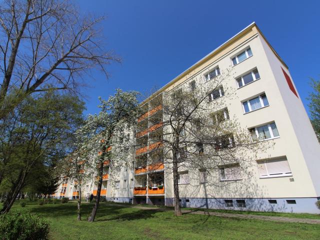 Apartment mieten in Neustadt, Halle