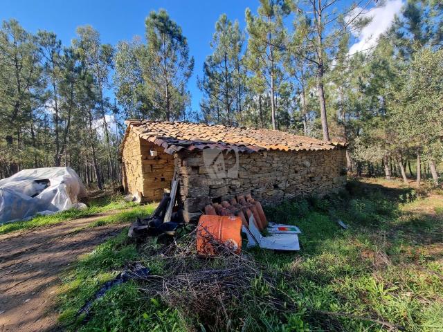 Quinta venda em Castelo Branco
