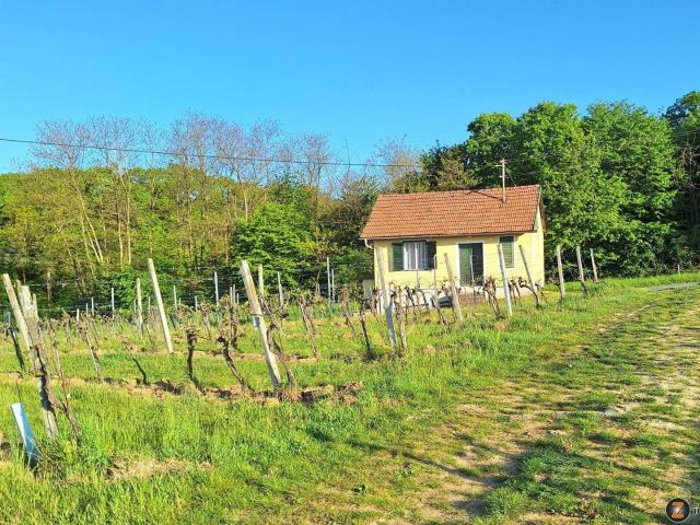 Haus kaufen in Eisenberg an der Pinka, Burgenland