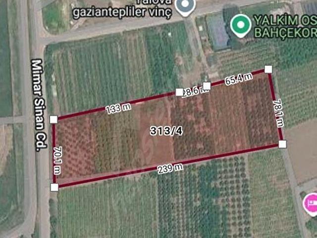 Çiftlikköy, Yalova içerisinde satılık mülk