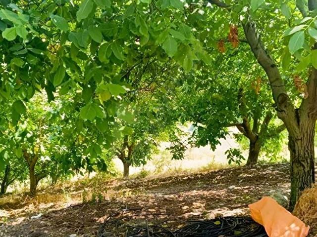 Yenişehir, Bursa içerisinde satılık Arsa