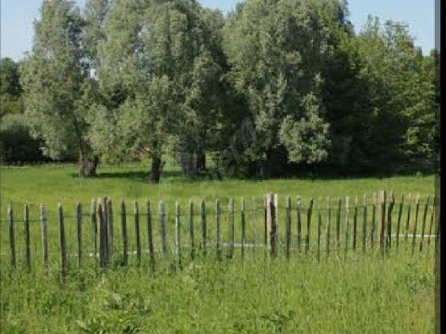Polatli, Ankara içerisinde satılık Arsa