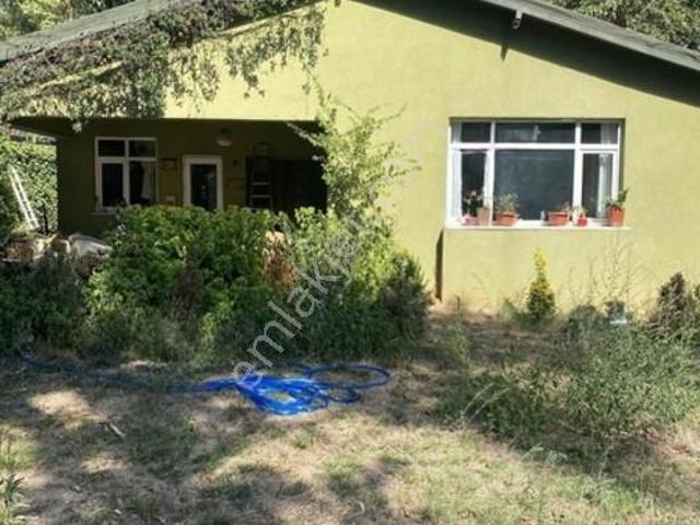 Beykoz, İstanbul içerisinde kiralık Villa