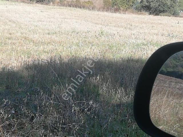 Osmangazi, Bursa içerisinde kiralık mülk