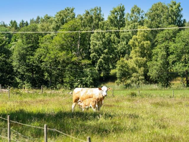 Bostad till salu i Västra Götaland