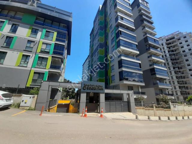 Çekmeköy, İstanbul içerisinde kiralık mülk