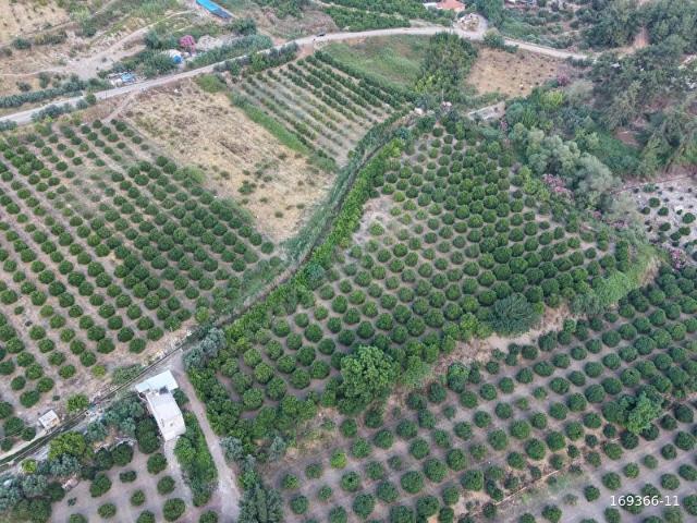 Kumluca, Antalya içerisinde satılık Arsa