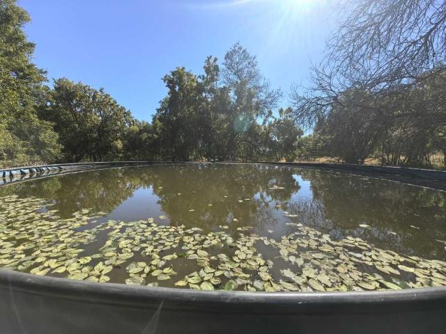 Commercial Land for sale in Koster