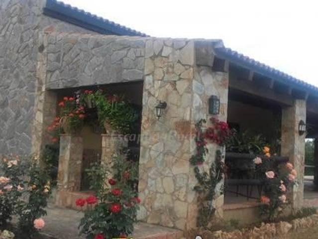 Casa en alquiler en La Puebla De Los Infantes, Andalucía