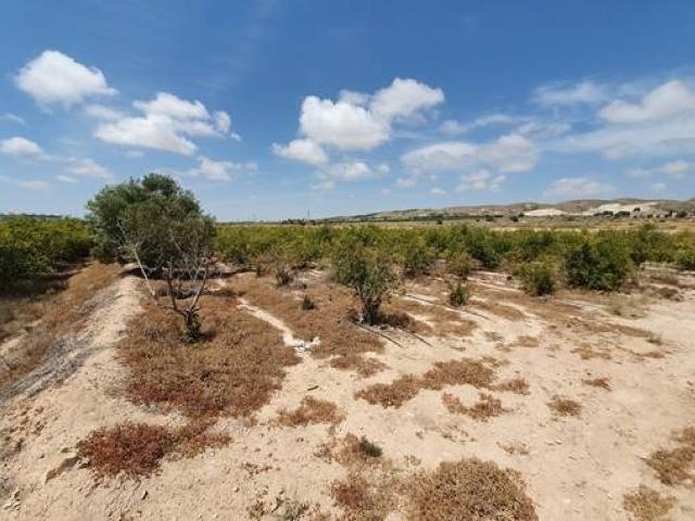 Terreno en venta en Carrús Oest, el Baix Vinalopó