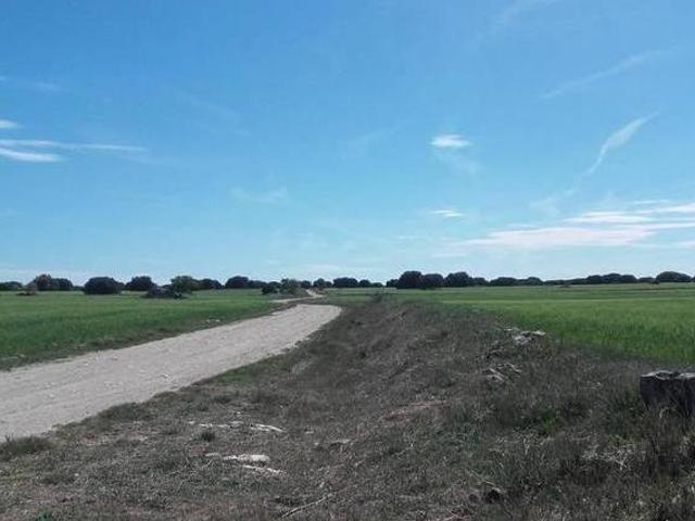 Casa en alquiler en La Parrilla, Castilla y León