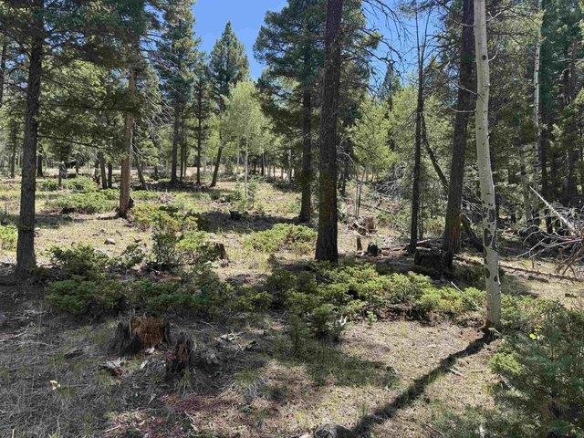 Land for sale in Angel Fire, Colfax County