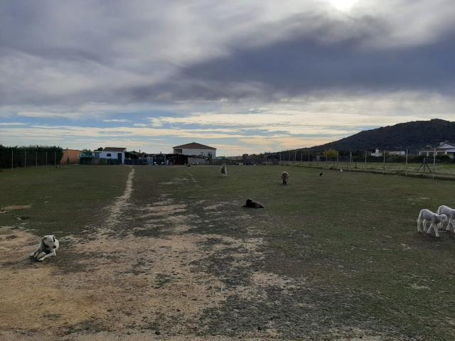 Terreno en venta en Cáceres - Sierra de Montánchez, Extremadura