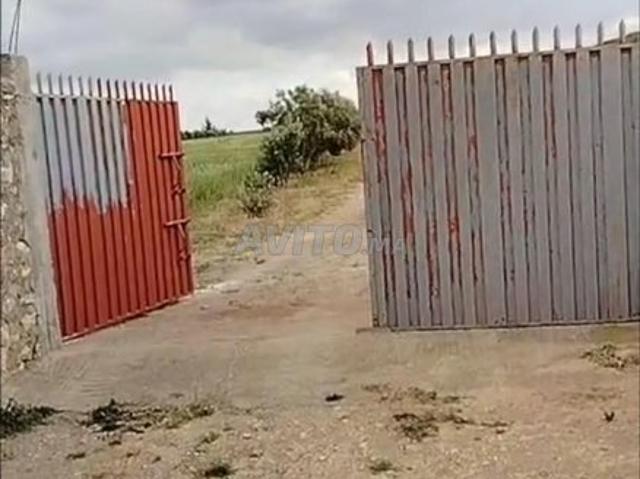 Propriété vente à El Ma, Gharb-Chrarda-Beni Hssen