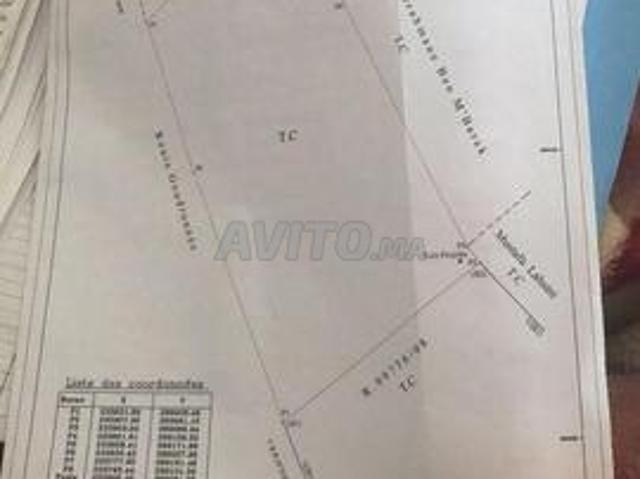Propriété vente à El Ma, Gharb-Chrarda-Beni Hssen