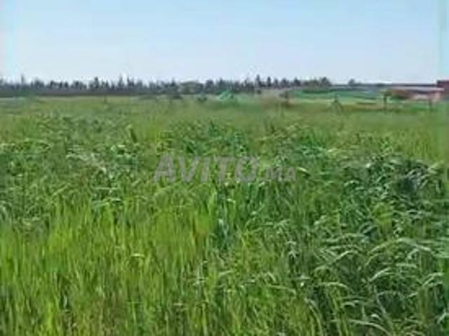 Propriété vente à Dar Bouazza, Gharb-Chrarda-Beni Hssen