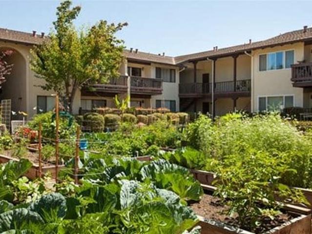 Apartment for rent in Sunnyvale, California