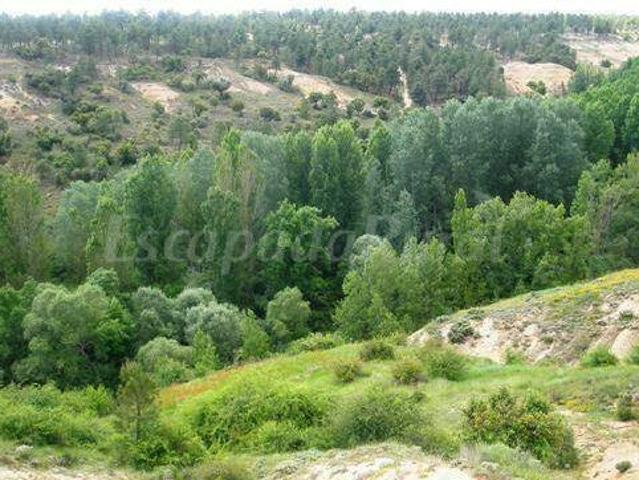 Casa en alquiler en Pajares De Adaja, Castilla y León