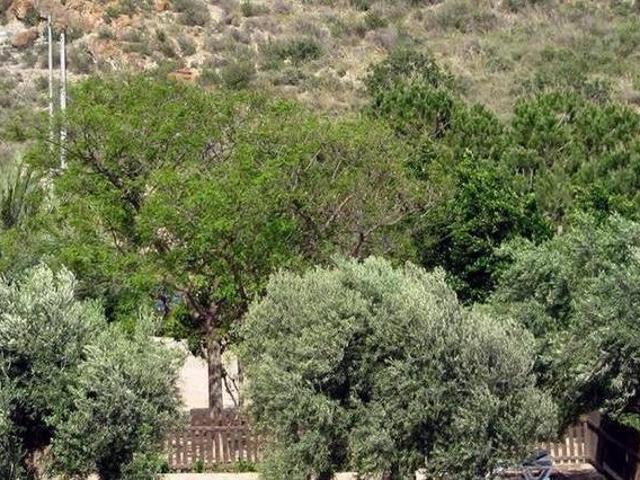 Casa en alquiler en Alhama De Murcia