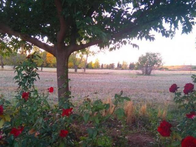 Casa en alquiler en Alcaraz, Castilla-La Mancha