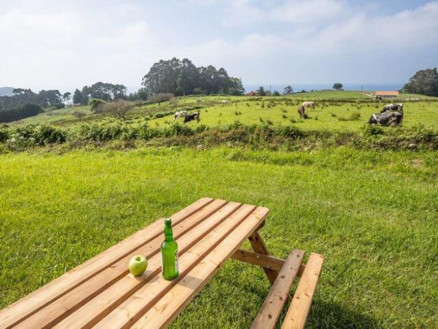 Apartamento en alquiler en Villaviciosa, Asturias